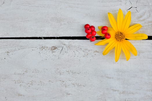 colorful floral background on white wood