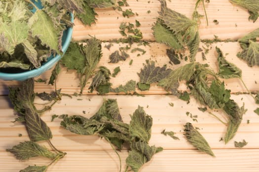 Small pot full of nettle  leaves. Table is covered with dry leaves.