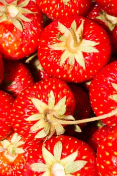 Closeup of pile of red and fresh strawberries