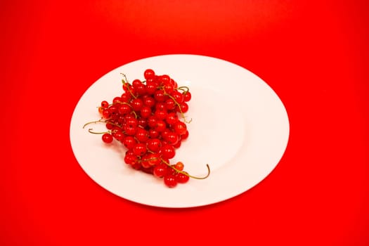 White plate with red currant half empty on red background