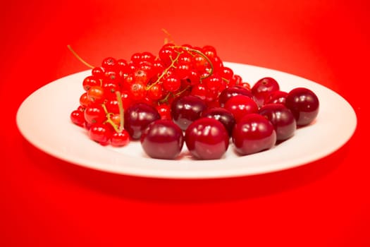 White plate with cherries and red currant on red background