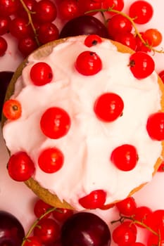 Cupcake with red currant shoot from upper angle