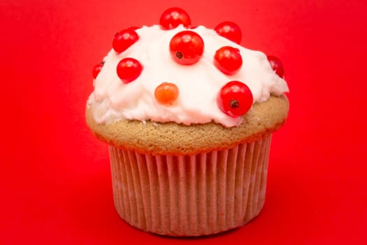 Cupcake with currant isolated on red background