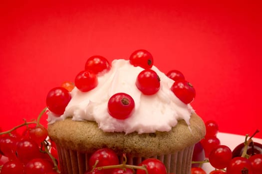 White plate with cupcake surrounded by red berries and cherries isolated on red background