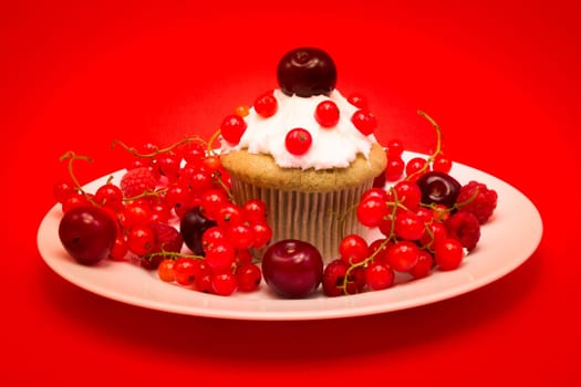 White plate with cupcake surrounded by red berries and cherries isolated on red background