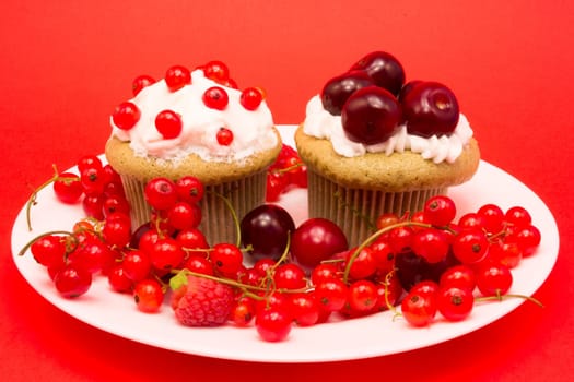 White plate with cupcake surrounded by red berries and cherries isolated on red background