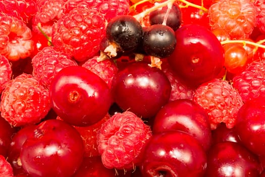 Cherries, raspberries and red and black currant on red background