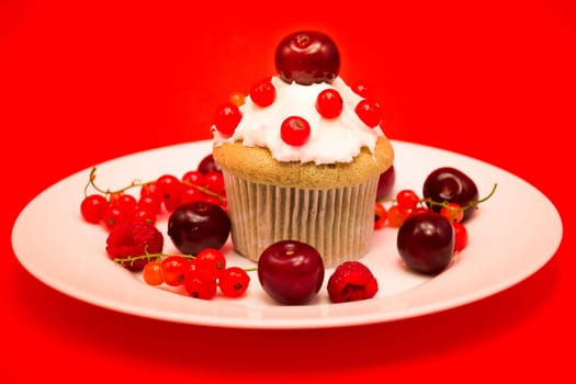 White plate with cupcake surrounded by red berries and cherries isolated on red background