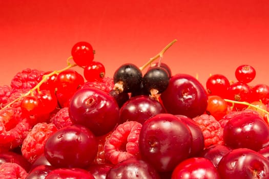 Cherries, raspberries and red and black currant on red background