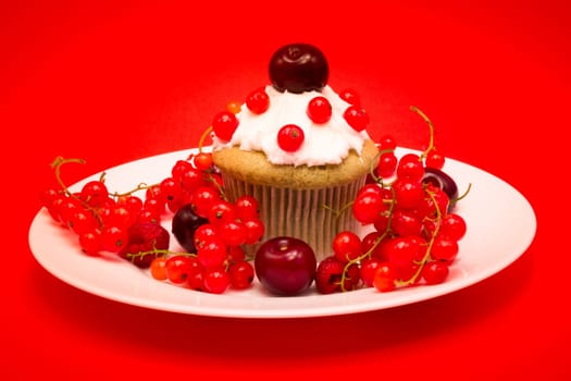 White plate with cupcake surrounded by red berries and cherries isolated on red background