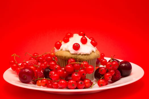 White plate with cupcake surrounded by red berries and cherries isolated on red background