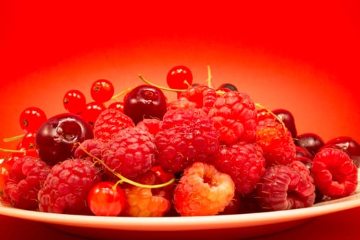 White plate with cherries, raspberries and red currant on red background