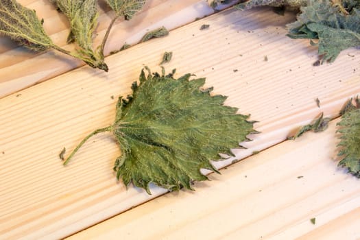 Closeup of dry nettle leaf on wooden table