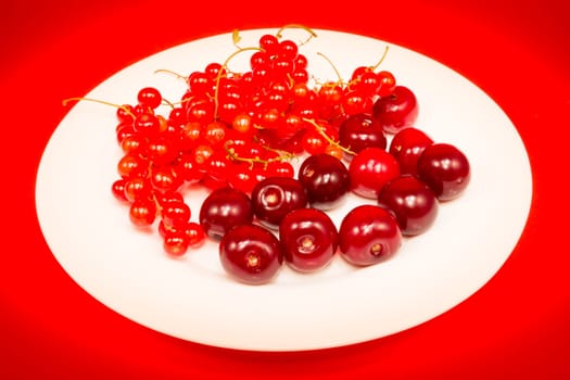 White plate with cherries and red curant on red background