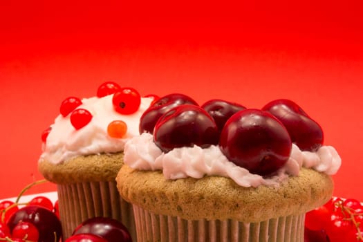 Cupcakes with cherries and currant  on red background