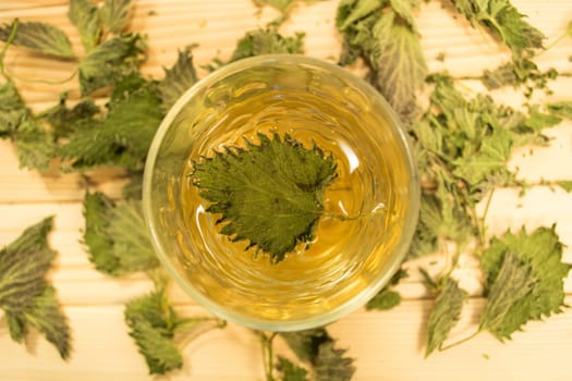 Glass of nettle tea. Table is covered with dry leaves. In tea is visible dry nettle leaf
