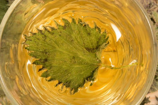 Glass of nettle tea. Table is covered with dry leaves. In tea is visible dry nettle leaf