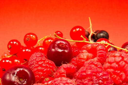 Cherries, raspberries and red and black currant on red background