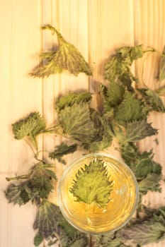 Glass of nettle tea. Table is covered with dry leaves. In tea is visible dry nettle leaf
