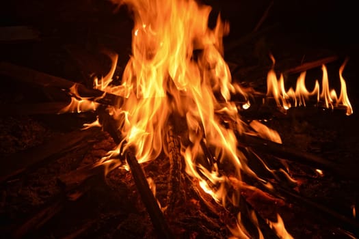 big wooden campfire at night
