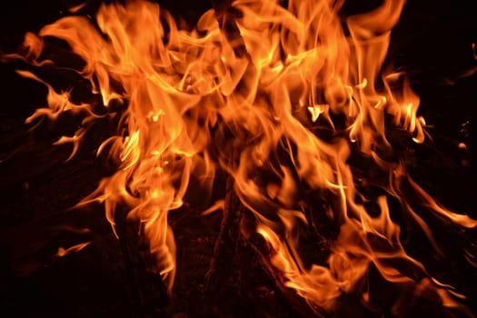 big wooden campfire at night
