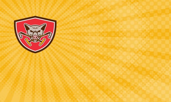 from front set inside shield crest on isolated background done in retro style..Business Card showing Illustration of an angry wild pig hog head biting crossed polo mallet viewed ..