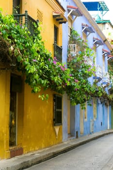 Colorful colonial architecture covered if lush beautiful flowers in Cartagena, Colombia
