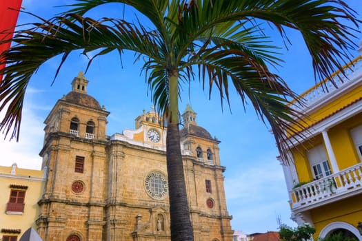 San Claver Church with a palm tree in the foreground in Cartagena, Colombia