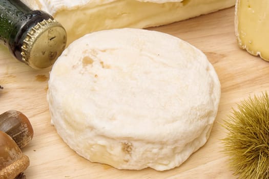 a french cheeses Saint Marcellin raw milk