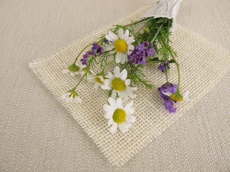 A small bouquet of flowers with chamomile and lavender