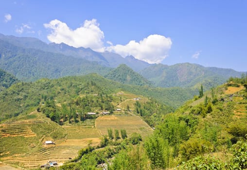Mountain view of rice terraced field in Sapa, Vietnam