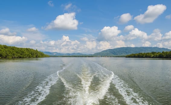 Landscape of tropical mangrove forest and long-tail fishing boat wake pattern in Phang Nga Bay National Park, Thailand