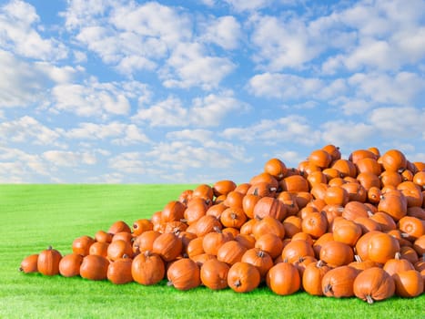 Pile of big orange natural rustic pumpkins. Outdoors stock photo autumn rural scenery on pumpkin patch field with green fresh grass and blue cloudy sky.
