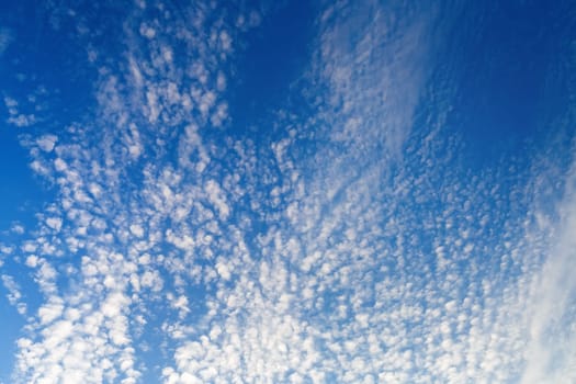 Blue sky with many small fluffy white clouds. Sky with clouds background.