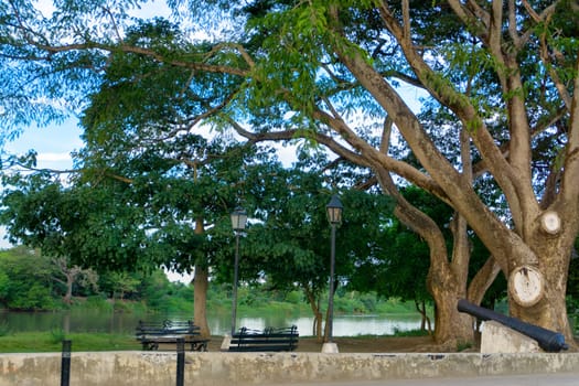 Trees and cannon on the riverfront in the colonial town of Mompox, Colombia