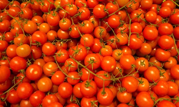 many small cherry tomatoes in the market ready to sell