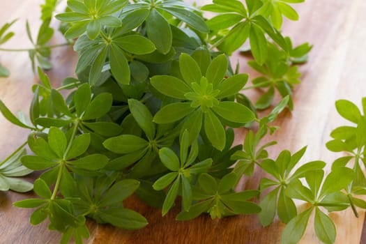 Fresh woodruff herb on wooden board
