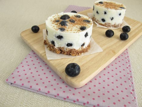 Small blueberry tarts without baking with cookie crumb cake base,yogurt and chocolate crumble