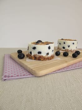 Small blueberry tarts without baking with cookie crumb cake base,yogurt and chocolate crumble