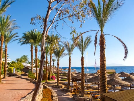 The beach at the luxury hotel, Sharm el Sheikh, Egypt. umbrella against the blue sky