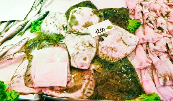 Venetian fish market - fish. The Rialto fish market is located alongside the Grand Canal near the Rialto Bridge - Venice, Italy