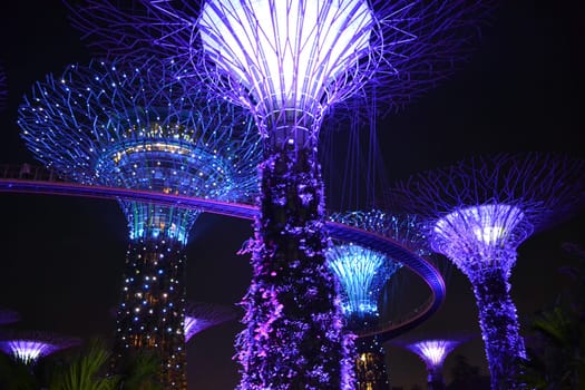 Giant Trees at the Gardens by the Bay in Singapore