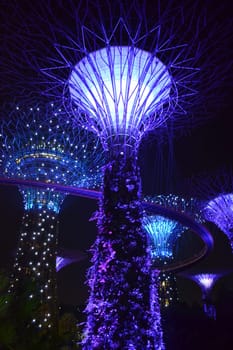 Giant Trees at the Gardens by the Bay in Singapore