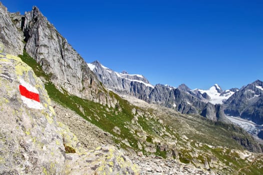 The train from Eggishorn and the View of the Aletsch glacier and Mountains