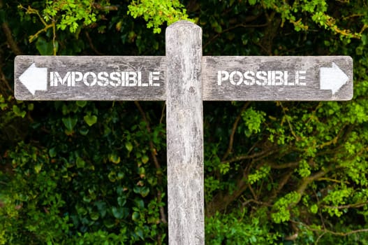 Wooden signpost with two opposite arrows over green leaves background. IMPOSSIBLE versus POSSIBLE directional signs, Choice concept image