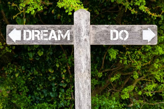 Wooden signpost with two opposite arrows over green leaves background. DREAM versus DO directional signs, Choice concept image