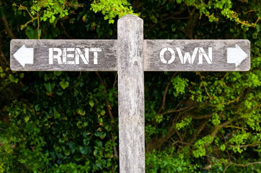 Wooden signpost with two opposite arrows over green leaves background. RENT versus OWN directional signs, Choice concept image