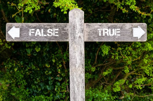 Wooden signpost with two opposite arrows over green leaves background. False versus True directional signs, Choice concept image