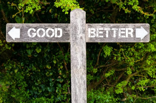 Wooden signpost with two opposite arrows over green leaves background. GOOD versus BETTER directional signs, Choice concept image