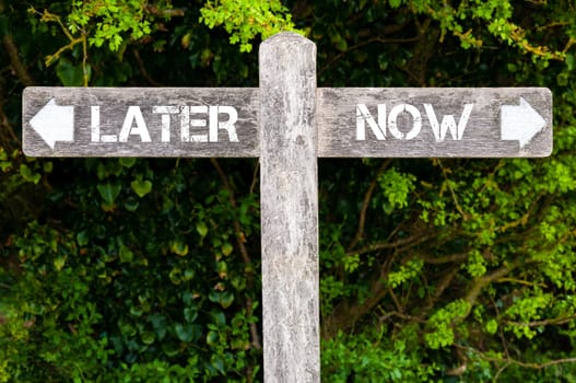 Wooden signpost with two opposite arrows over green leaves background. LATER versus NOW directional signs, Choice concept image